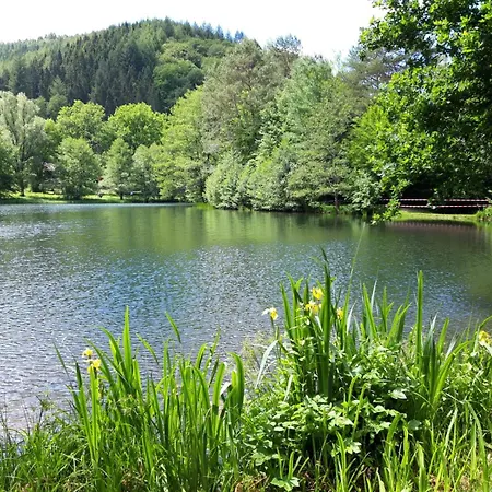 Im Herzen Des Pfälzer Waldes Apartment Elmstein