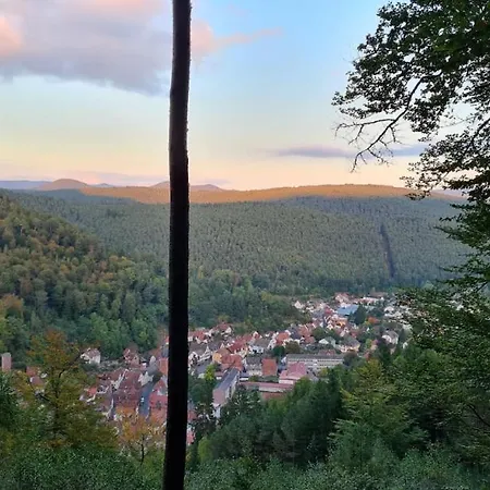 Im Herzen Des Pfaelzer Waldes *