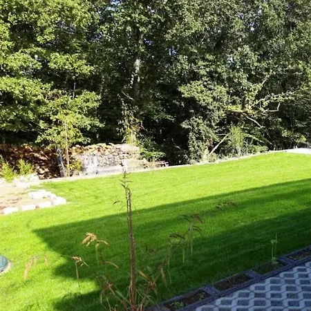 Im Herzen Des Pfaelzer Waldes