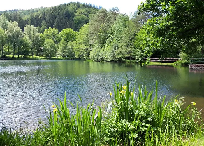 Im Herzen Des Pfaelzer Waldes Apartmán Elmstein
