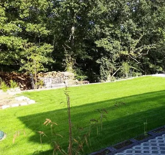 Im Herzen Des Pfaelzer Waldes